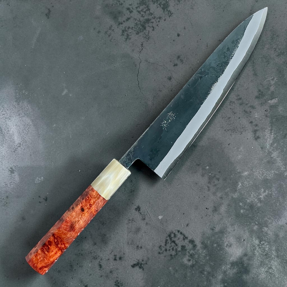 Tokushu Knife White No. 2 iron clad forged finish gyuto 210mm, rosewood & horn, angled front view #handle_rosewood & horn