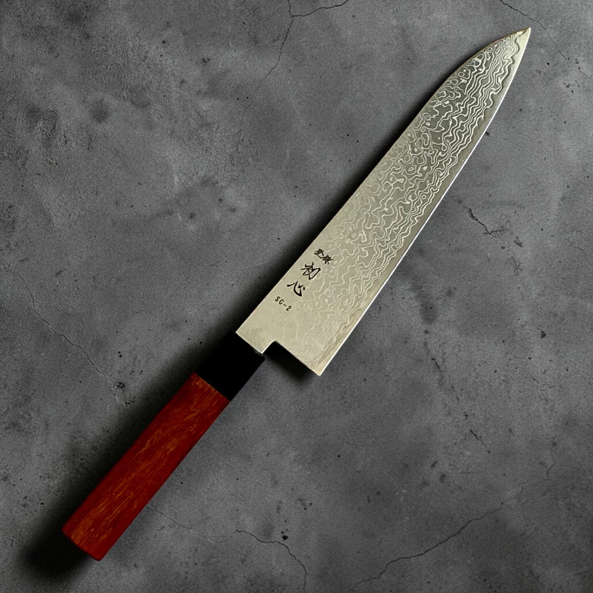 Hatsukokoro Ryuhyo SG2 Damascus Migaki Gyuto 210mm