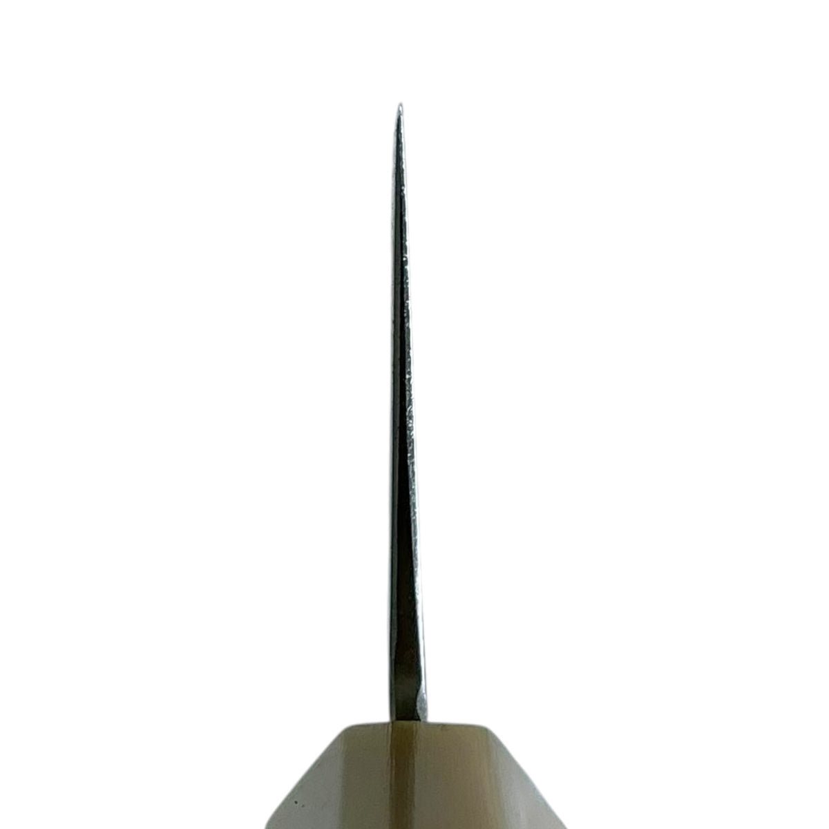 Hatsukokoro Hayabusa ATS-34 Migaki Kiritsuke 240 mm, cipresso e corno, vista del choil #handle_cypress & horn