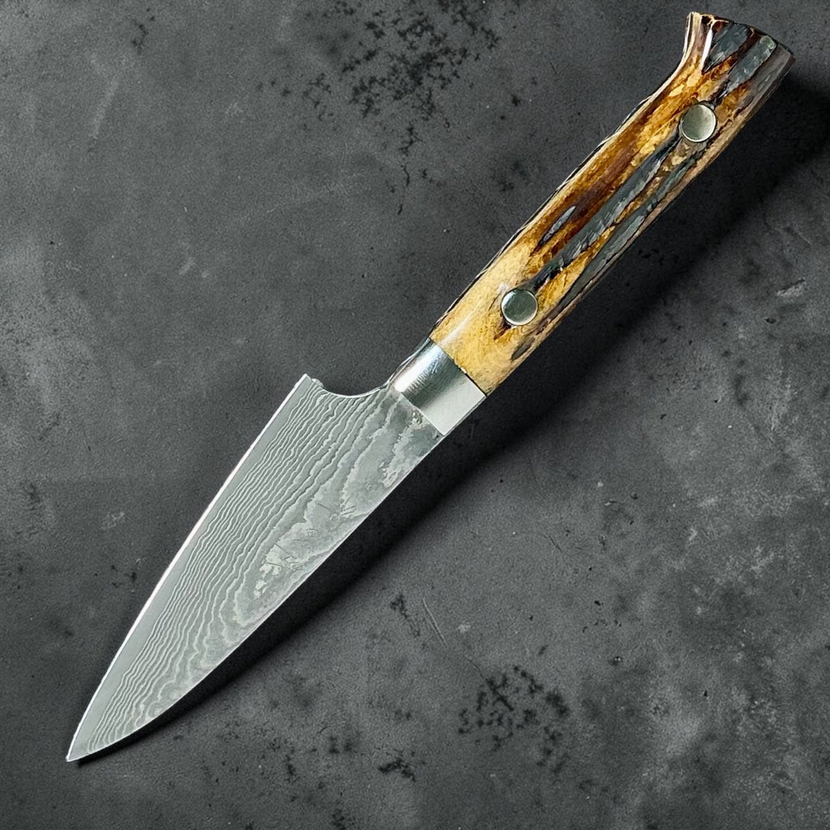 Takeshi Saji VG-10 Kuro Damascus Petty 90 mm – full knife at an angle with Damascus blade and deer bone handle