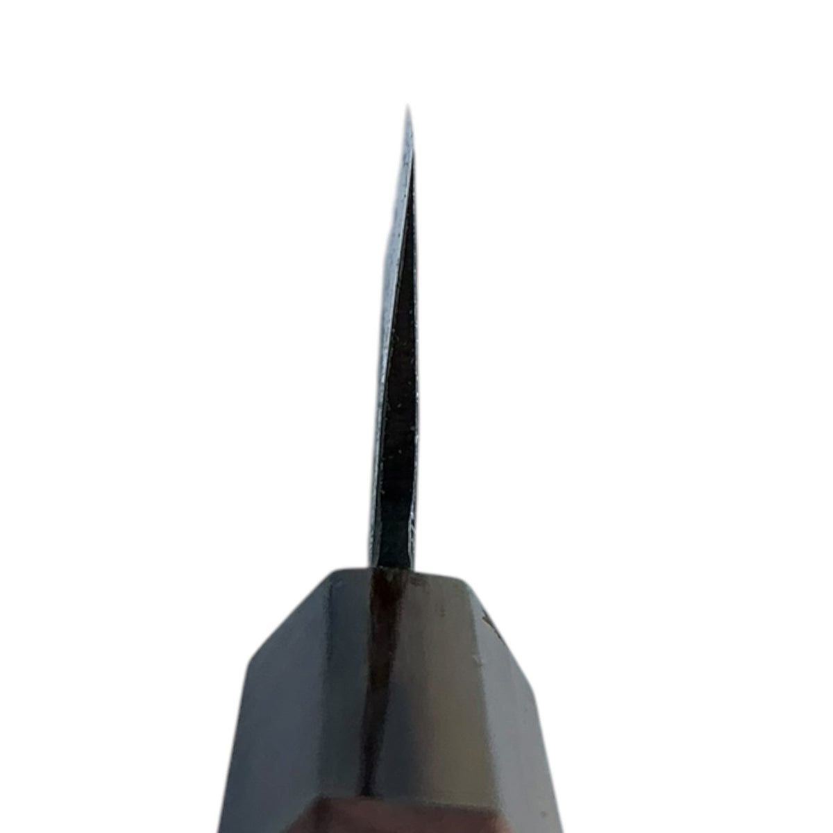 Tokushu Knife Blue No. 2 Nashiji Hiraki 165 mm con manico in Amboyna e corno di bufalo wa, vista del choil #handle_amboyna & buffalo horn