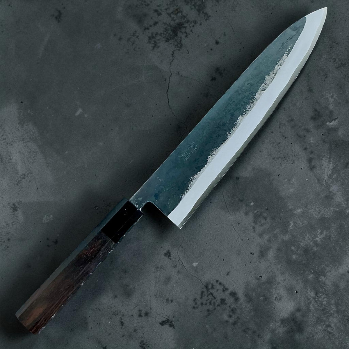 Tokushu Knife White No. 2 iron clad forged finish Gyuto 240 mm, ebony & horn, angled front view #handle_ebony & horn