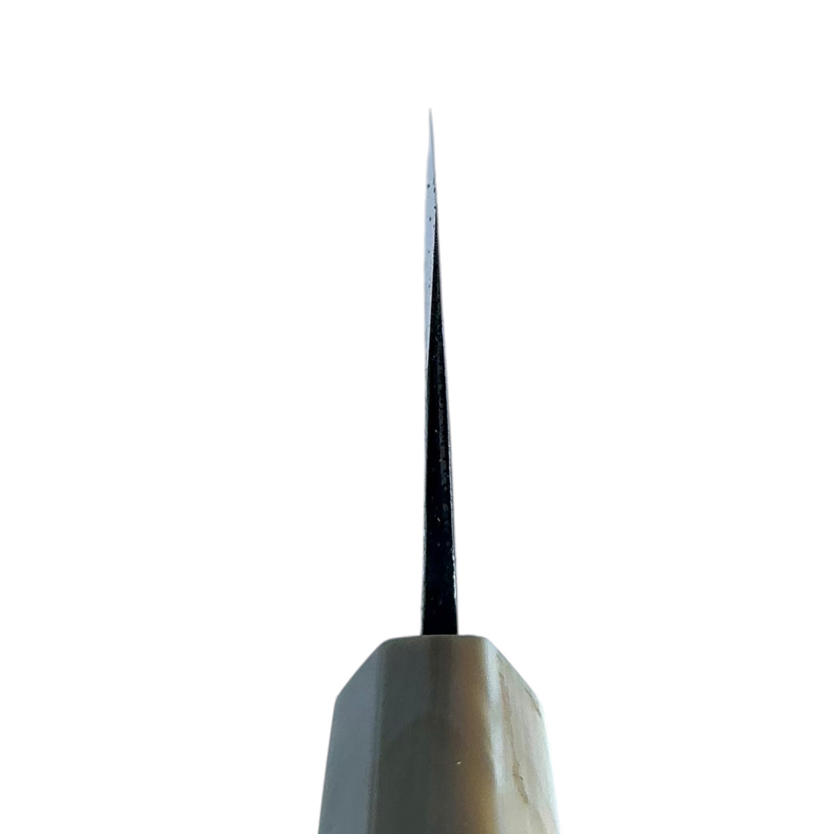 Tokushu Knife White No. 2 iron clad forged finish Nakiri 165 mm, rosewood & horn, spine taper view #handle_rosewood & horn