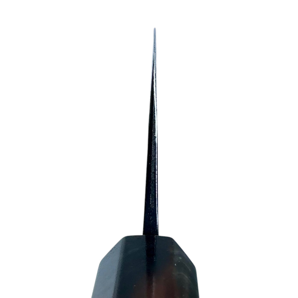 Tokushu Knife White No. 2 iron clad forged finish Santoku 165 mm, ebony & horn, spine taper view #handle_ebony & horn