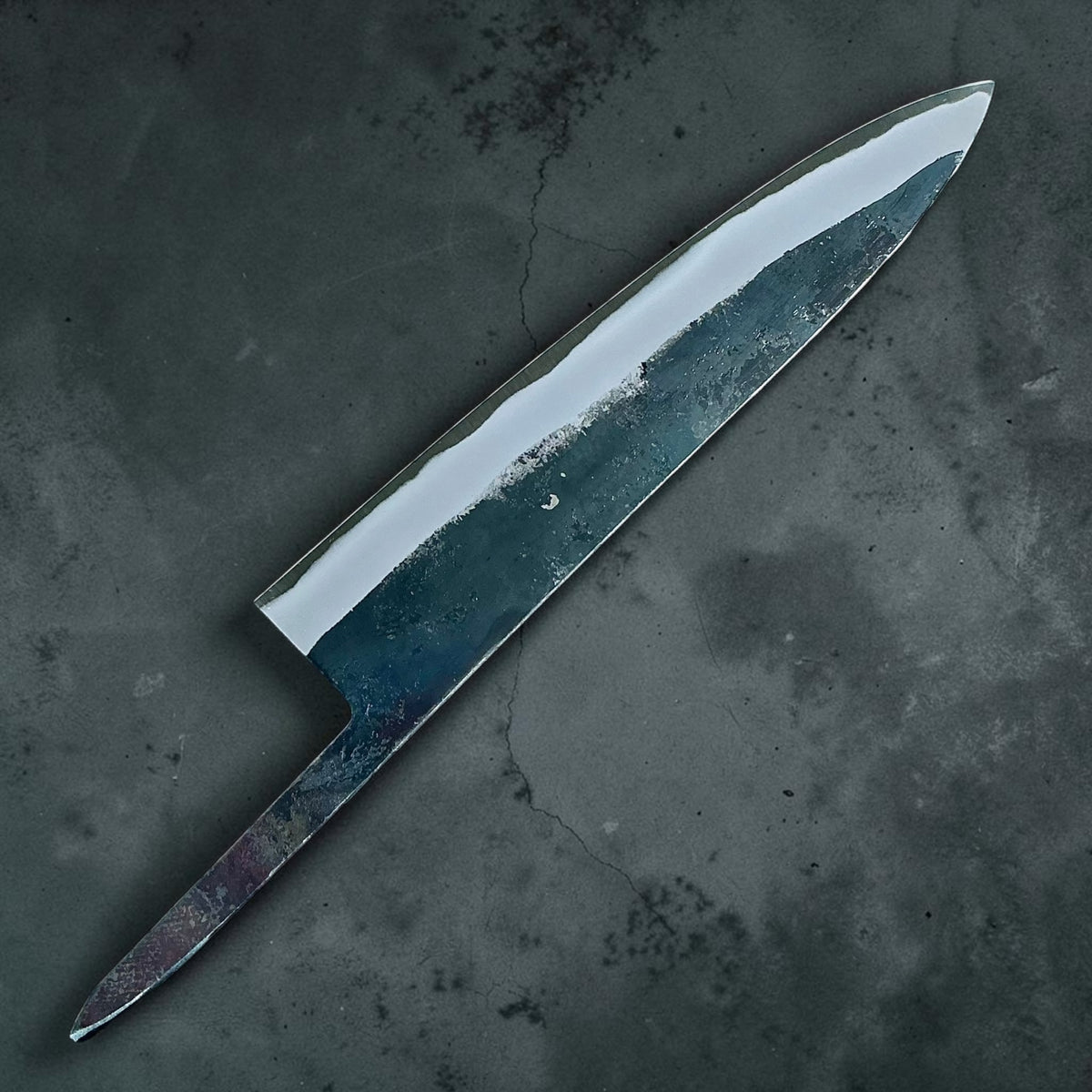 Tokushu Knife White No. 2 iron clad forged finish gyuto 210mm, blade only, reverse view #handle_blade only
