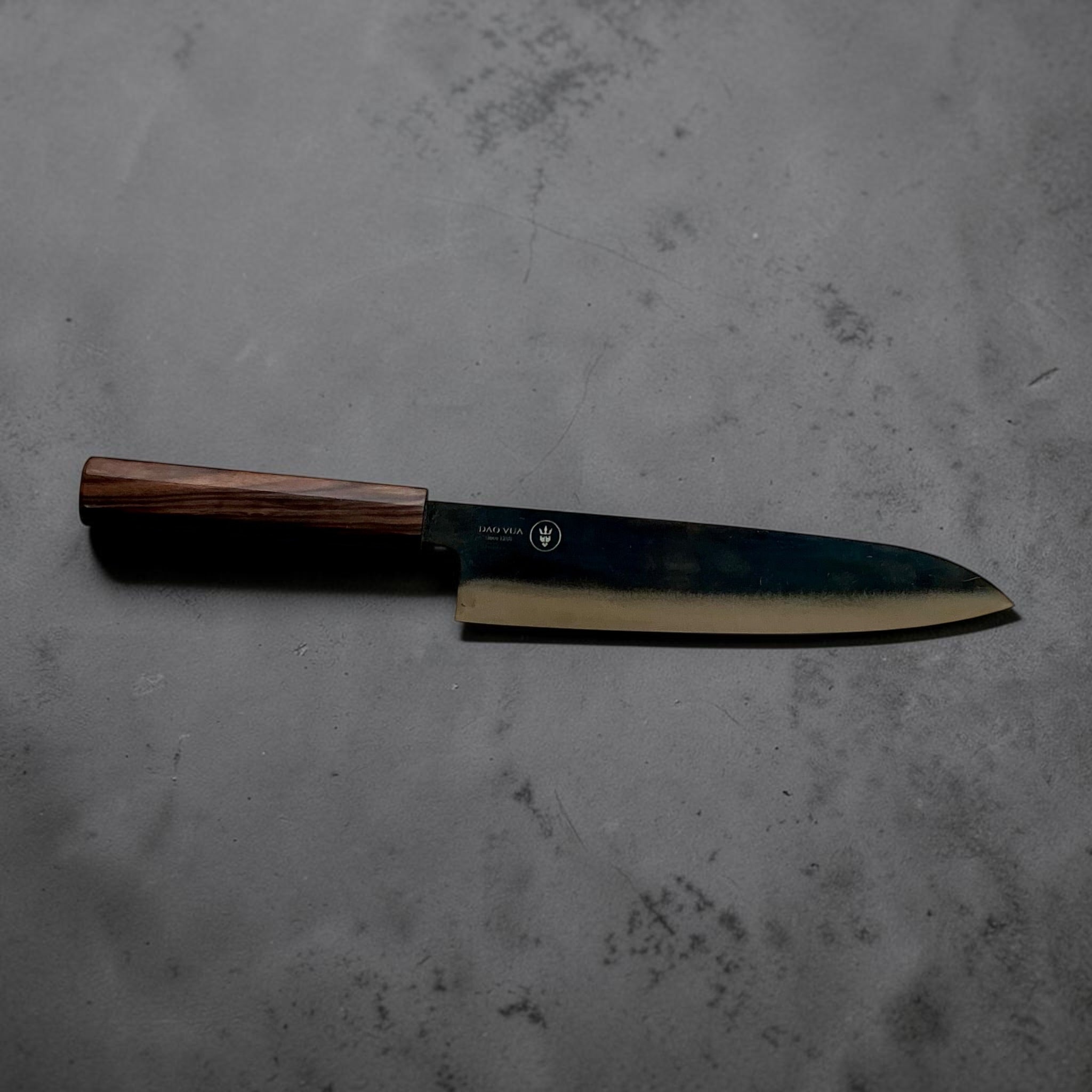 Dao Vua V3 52100 Kurouchi Gyuto 210mm full side profile