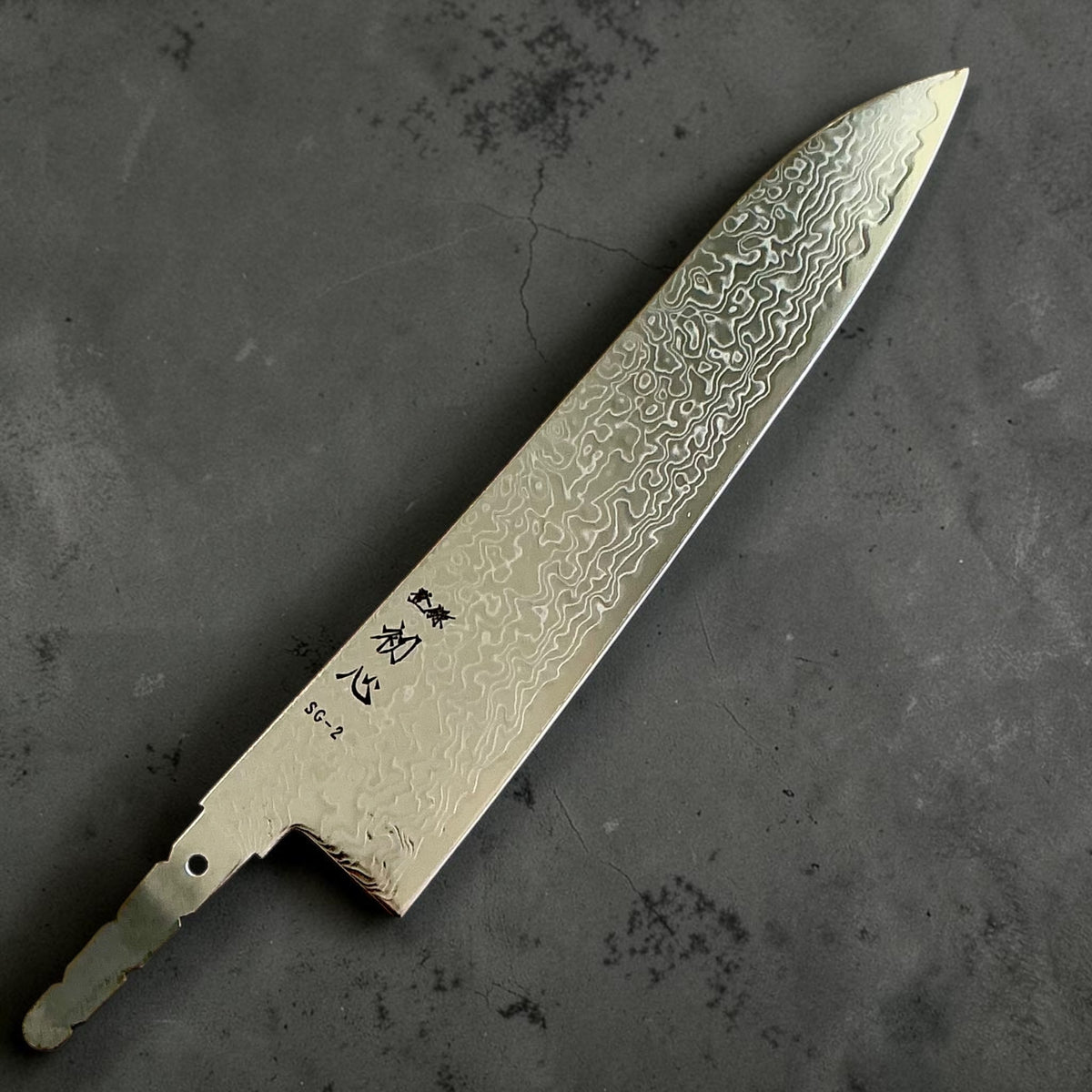 Hatsukokoro Ryuhyo SG2 Damascus Migaki Gyuto 210mm