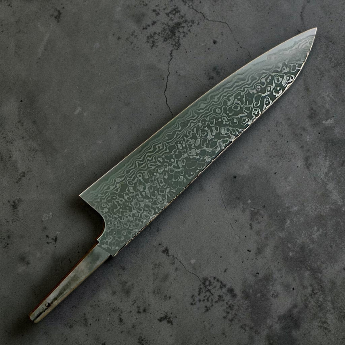 Hatsukokoro Ginga ATS-34 nickel Damascus gyuto 210 mm — blade only, reverse view