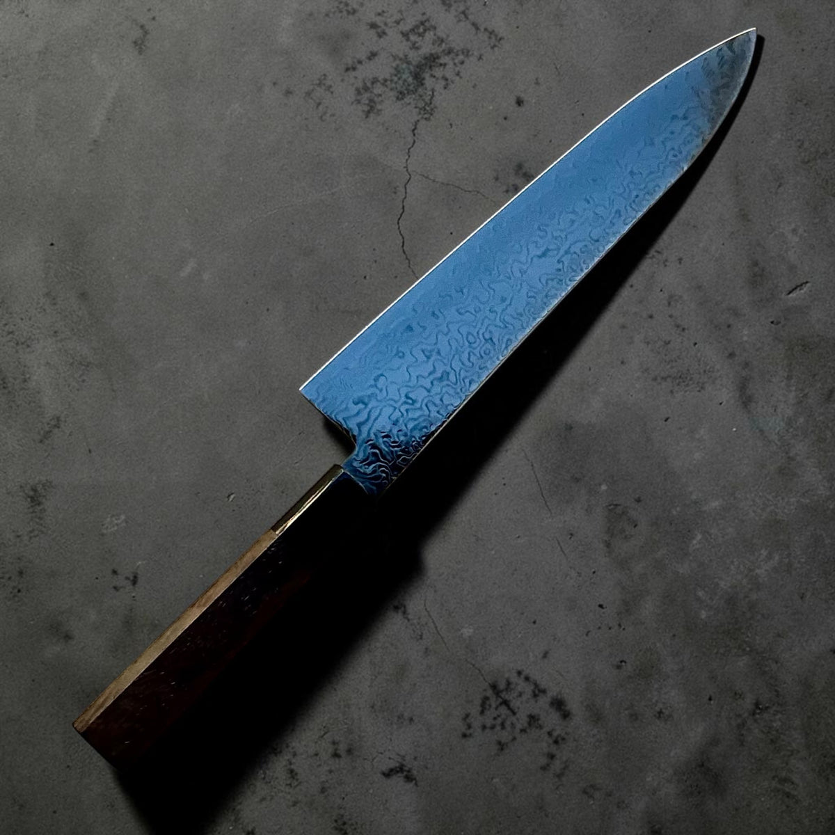 Hatsukokoro Ryuhyo SG2 Black Damascus Gyuto 210mm with walnut handle, angled reverse view