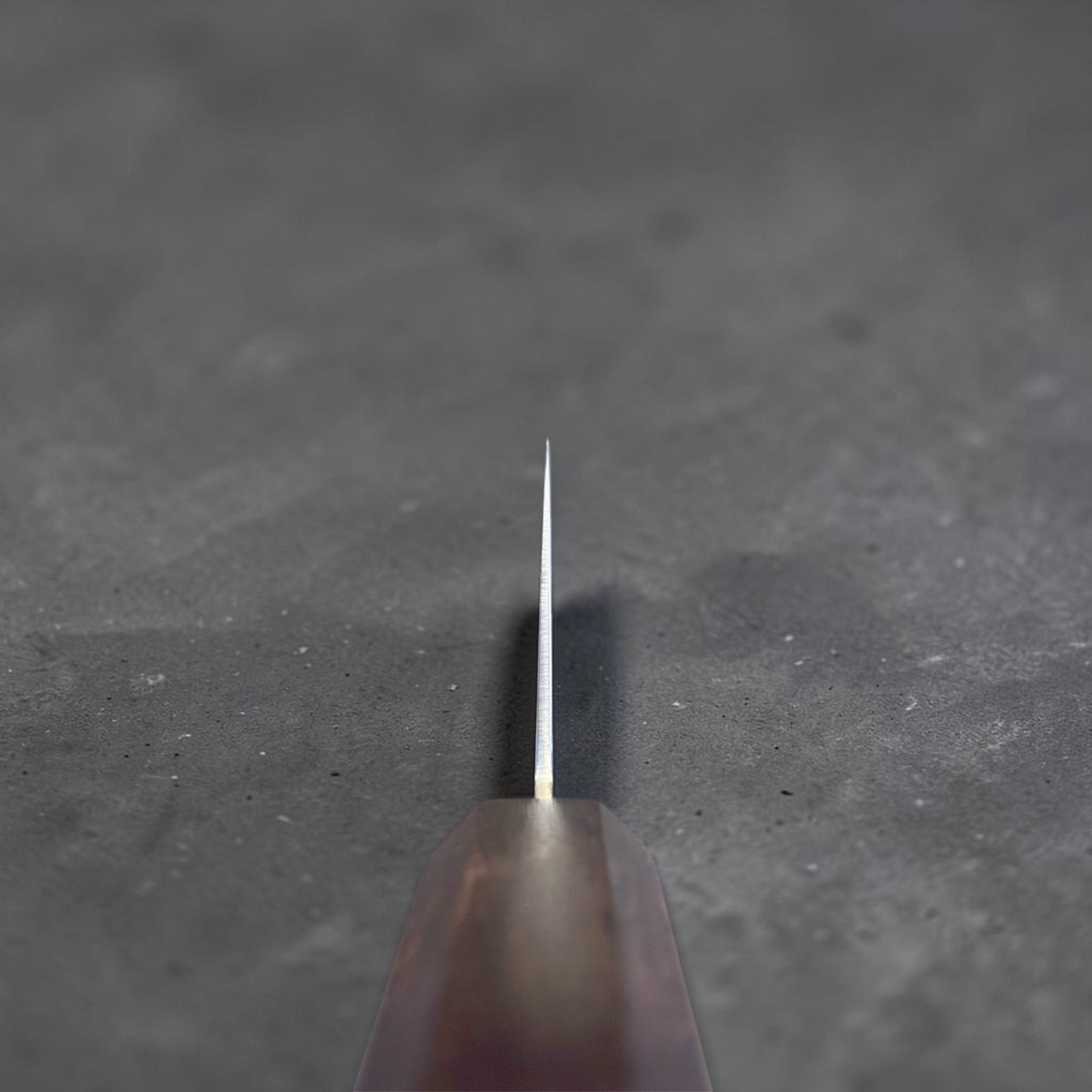 Hatsukokoro Ryuhyo SG2 Damascus Migaki Bunka with Mono Ebony Handle, choil shot highlighting the thin grind and handle alignment.