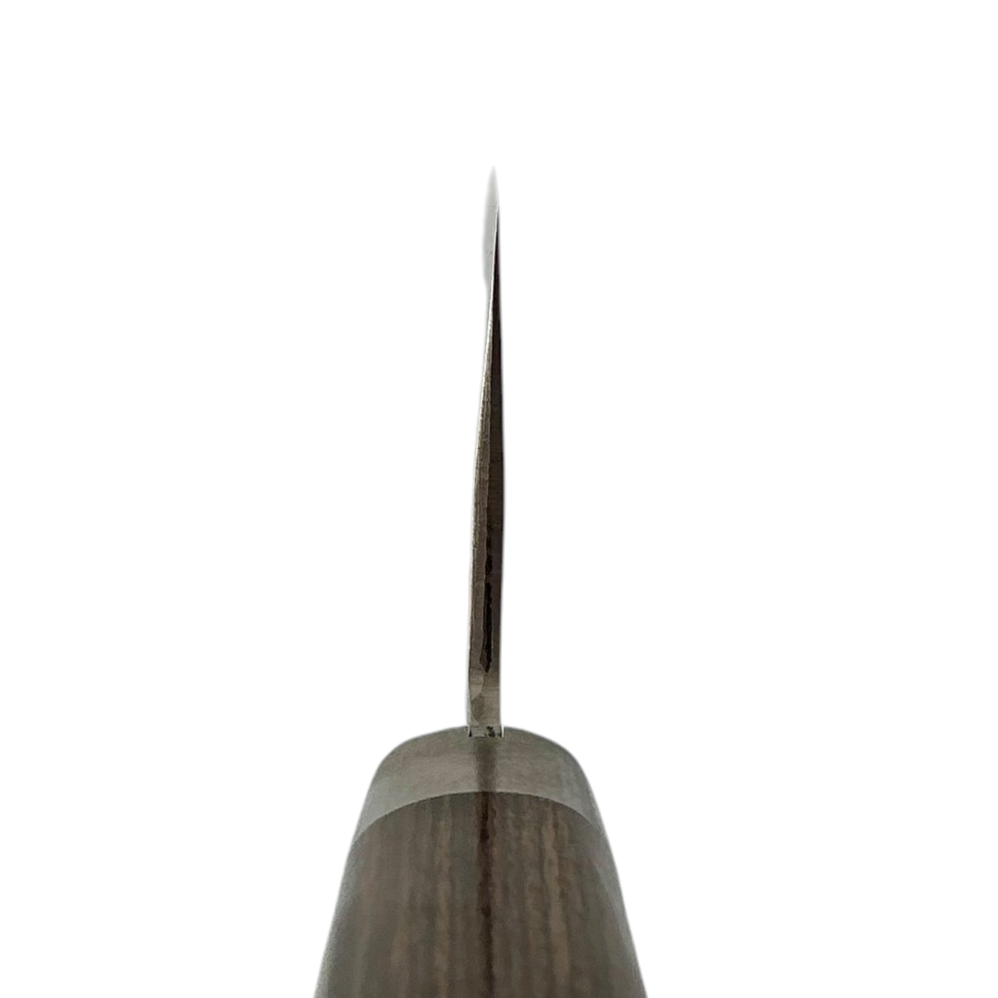 Masutani Kokuryu VG10 Damascus Tsuchime Santoku 170mm – choil and spine view