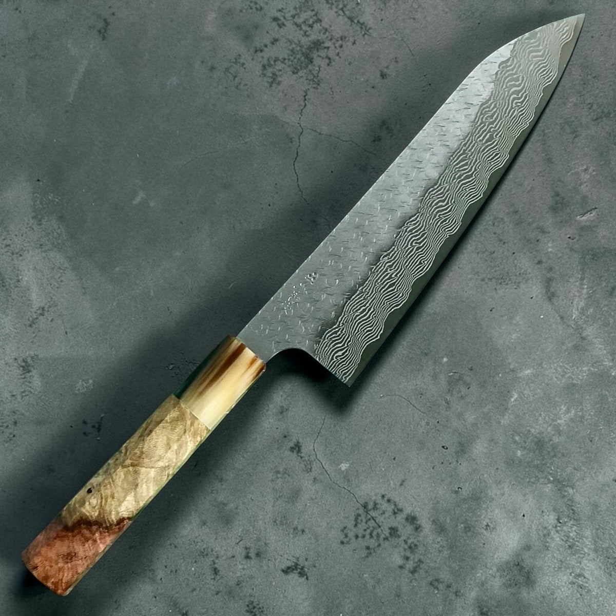 Nigara STRIX Gyuto 210mm, Amboyna contrasto & corno, vista frontale #handle_amboyna contrast & horn