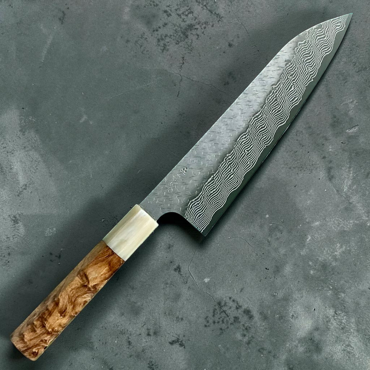 Nigara STRIX Gyuto 210mm, cipresso & corno, vista frontale #handle_cypress & horn