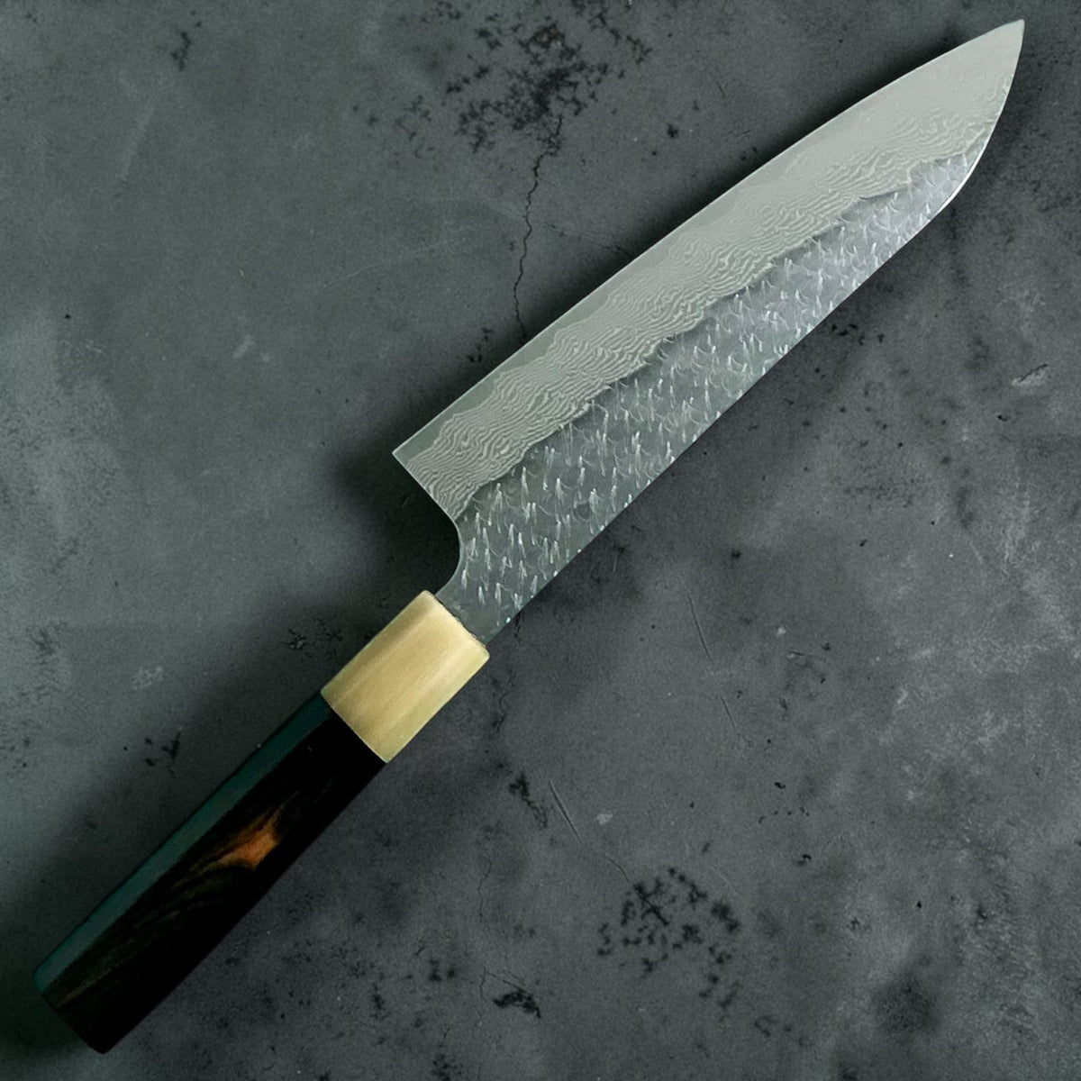 Nigara STRIX Gyuto 210mm, ebano e corno, vista posteriore #handle_ebony & horn
