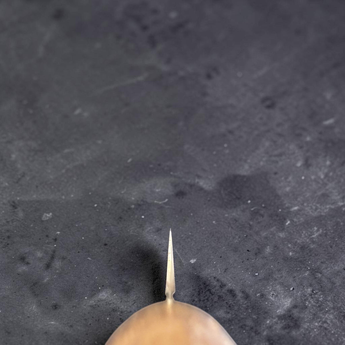Tadafusa SLD Coltello da pane con manico in legno chiaro, vista del choil che mostra la geometria sottile della lama.