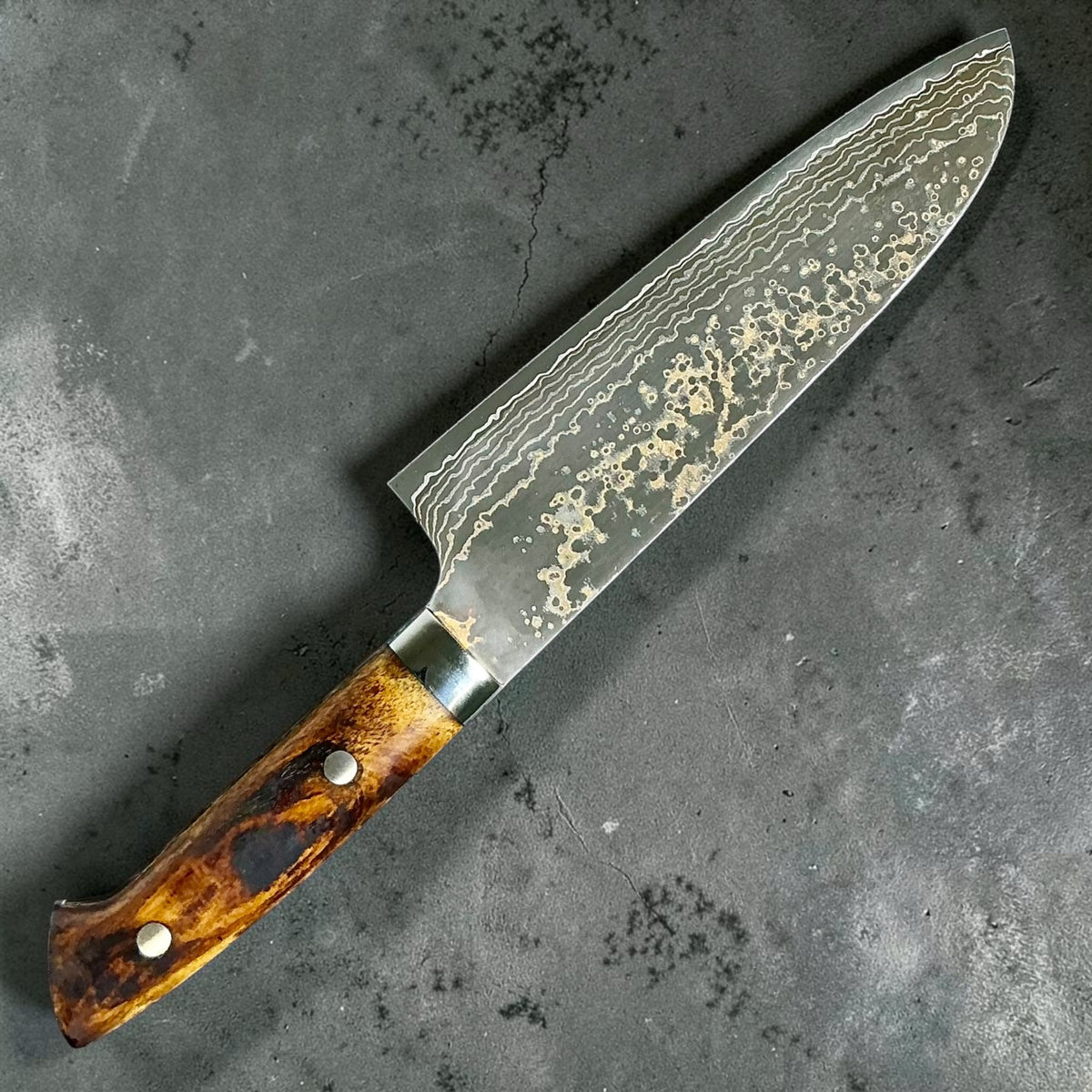 Reverse angled view of the Takeshi Saji VG-10 Gold Damascus Santoku and cow bone handle