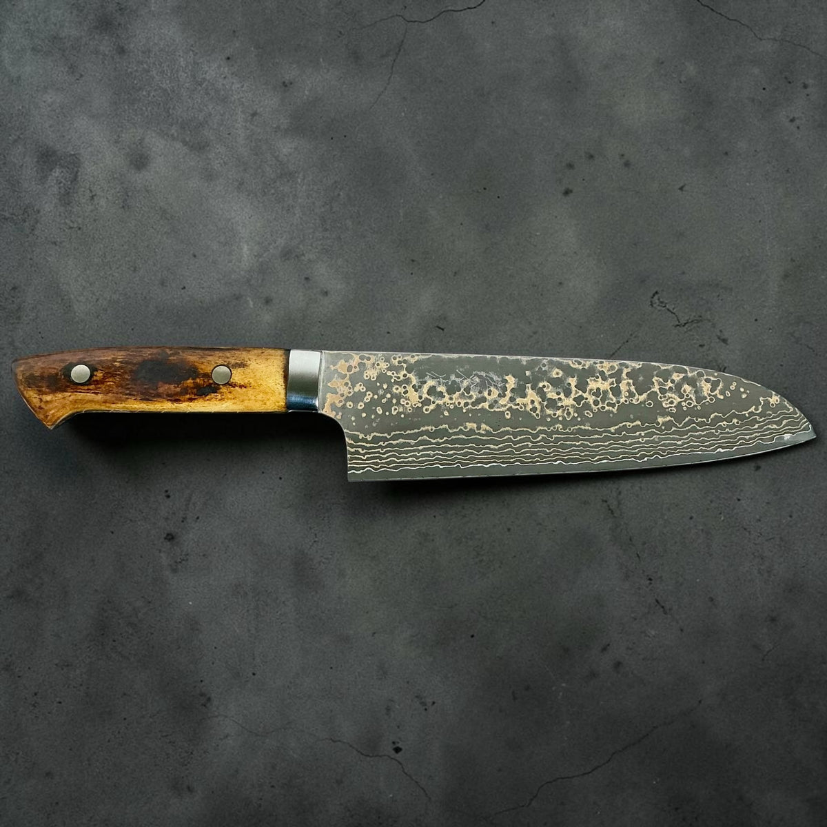Full profile of the Takeshi Saji VG-10 Gold Damascus Santoku with cow bone handle