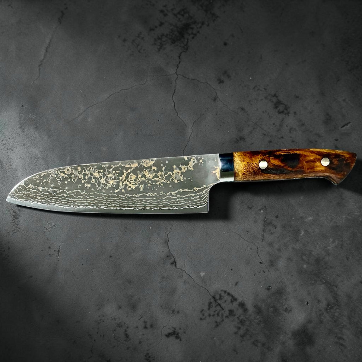 Reverse full profile of the Takeshi Saji VG-10 Gold Damascus Santoku with cow bone handle