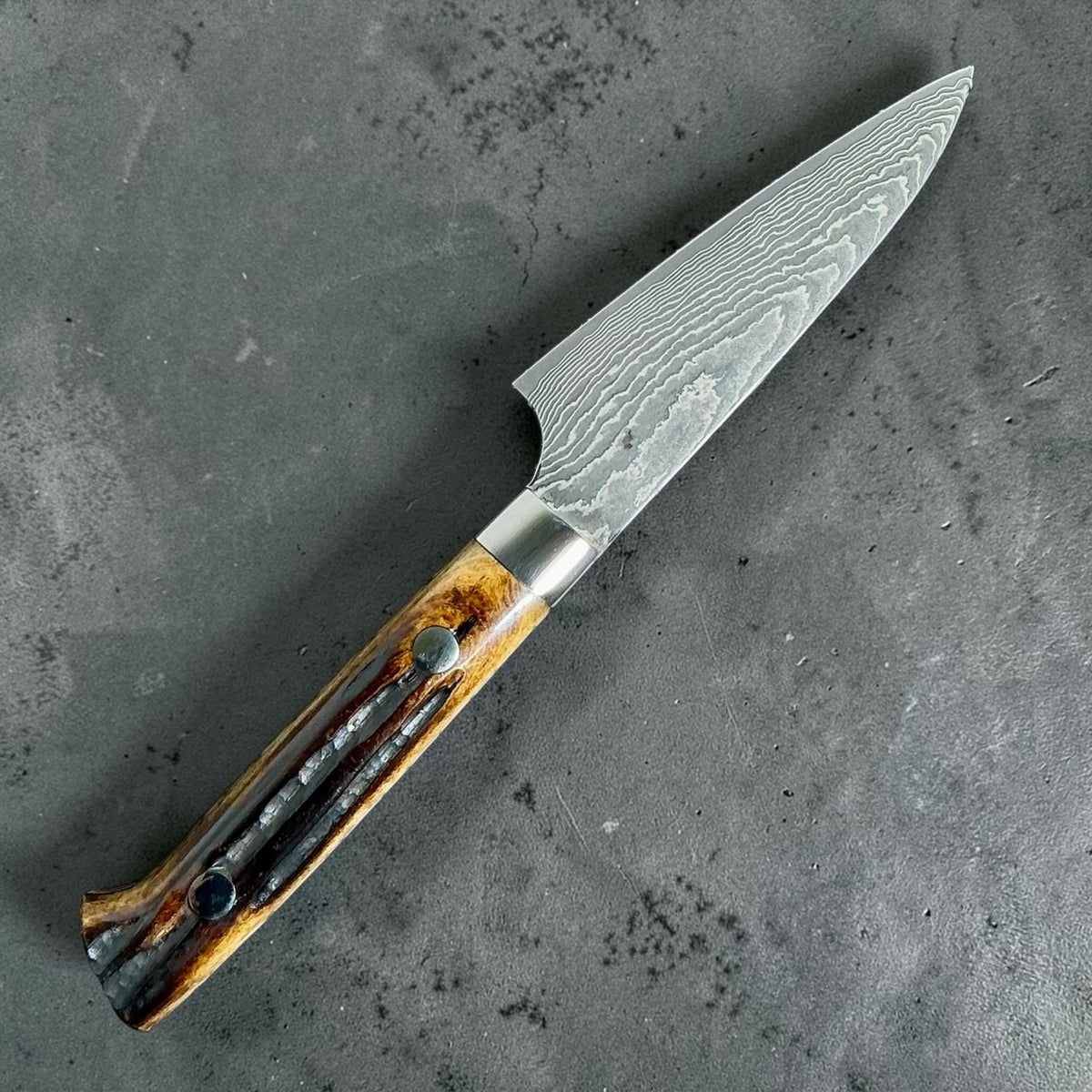 Takeshi Saji VG-10 Kuro Damascus Petty 90 mm – full blade and deer bone handle from the reverse side